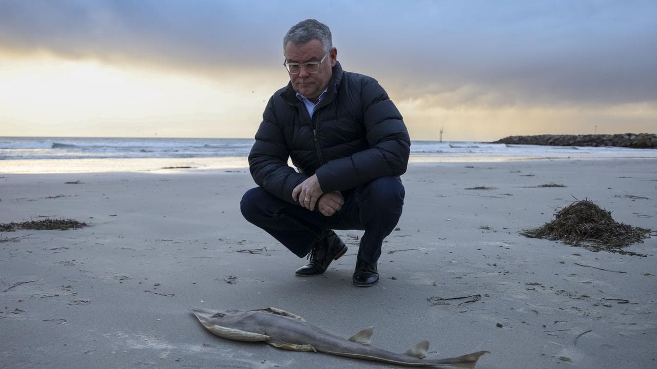 Federal Environment and Water Minister Murray Watt