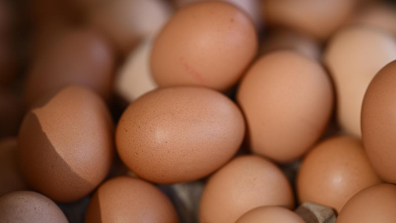 Eggs