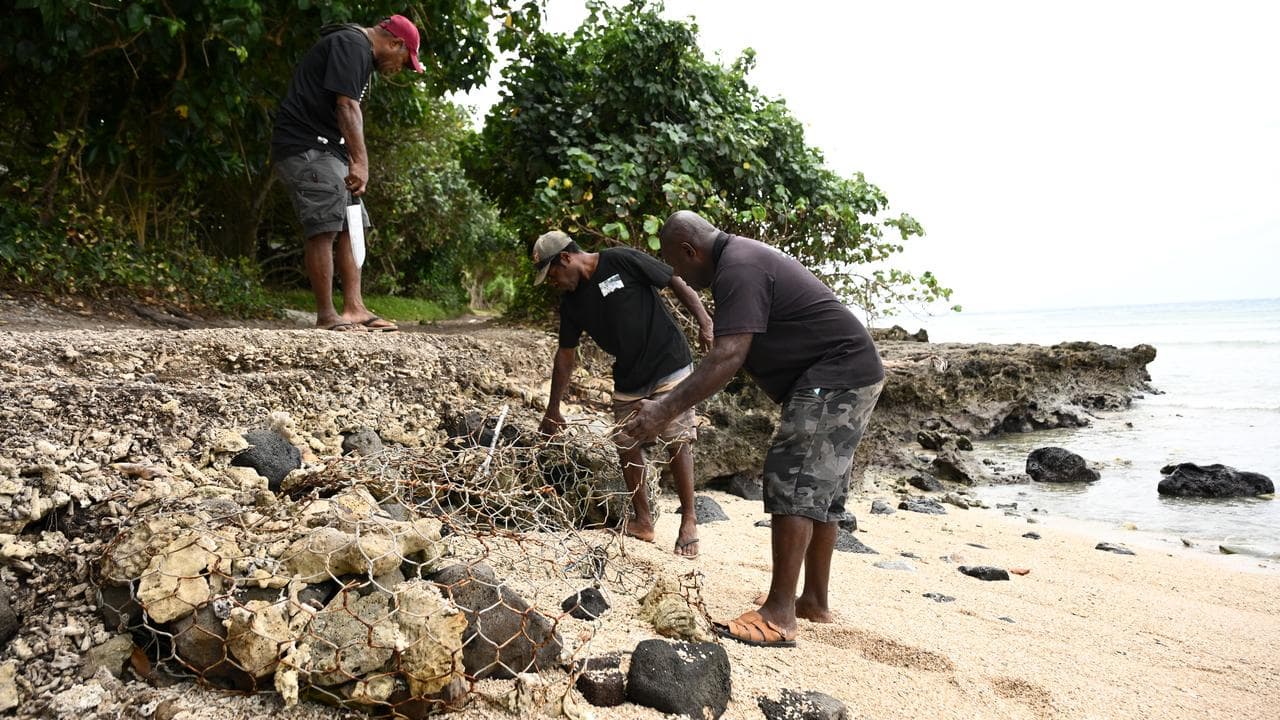 Whitely Tasaruru on the beach on Nguna Island, Vanuatu