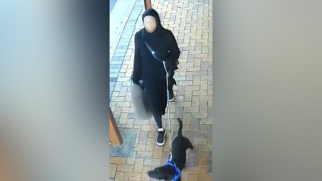 CCTV image of Tamika Chesser walking dogs in Port Lincoln, SA
