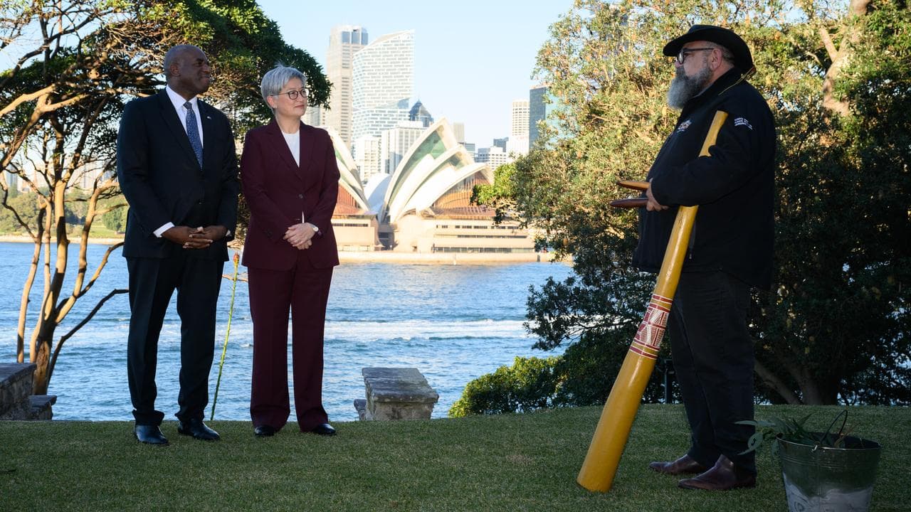 Foreign ministers David Lammy and Penny Wong in Sydney