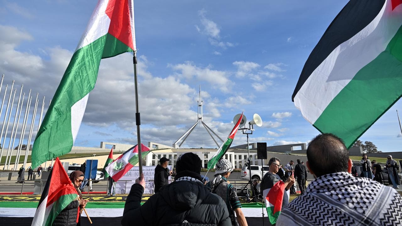 A file photo of pro-Palestinian protesters 