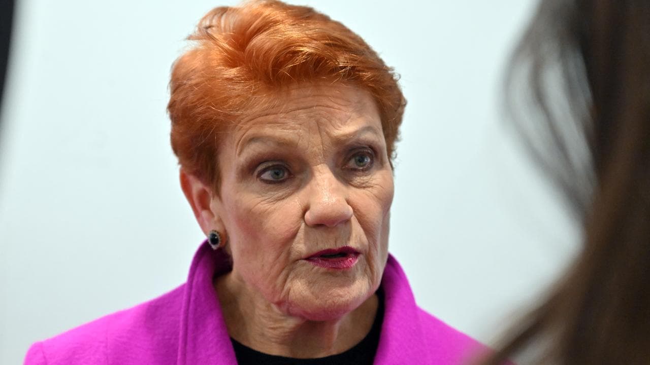 One Nation leader Pauline Hanson