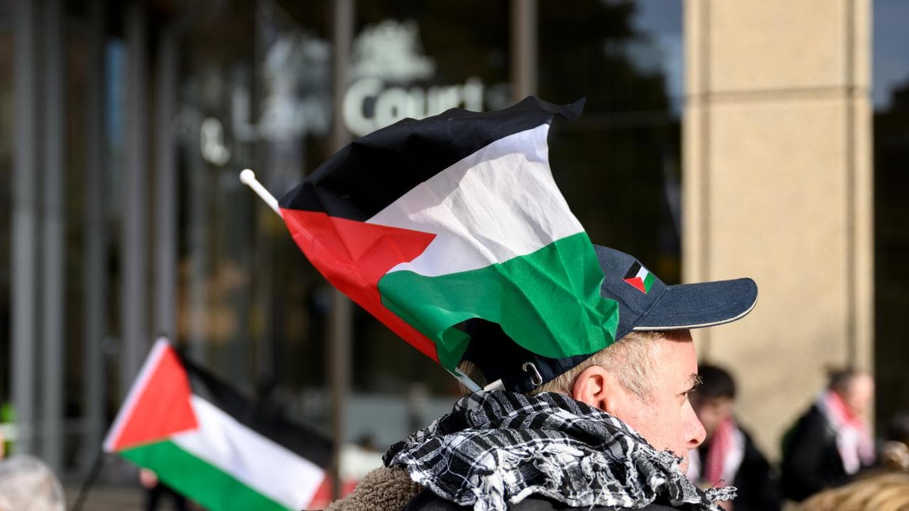 The Palestine Action Group rally