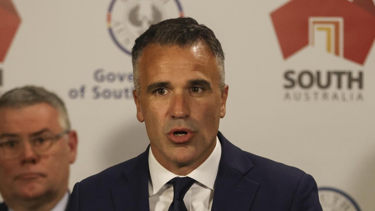 SA Premier Peter Malinauskas (file)