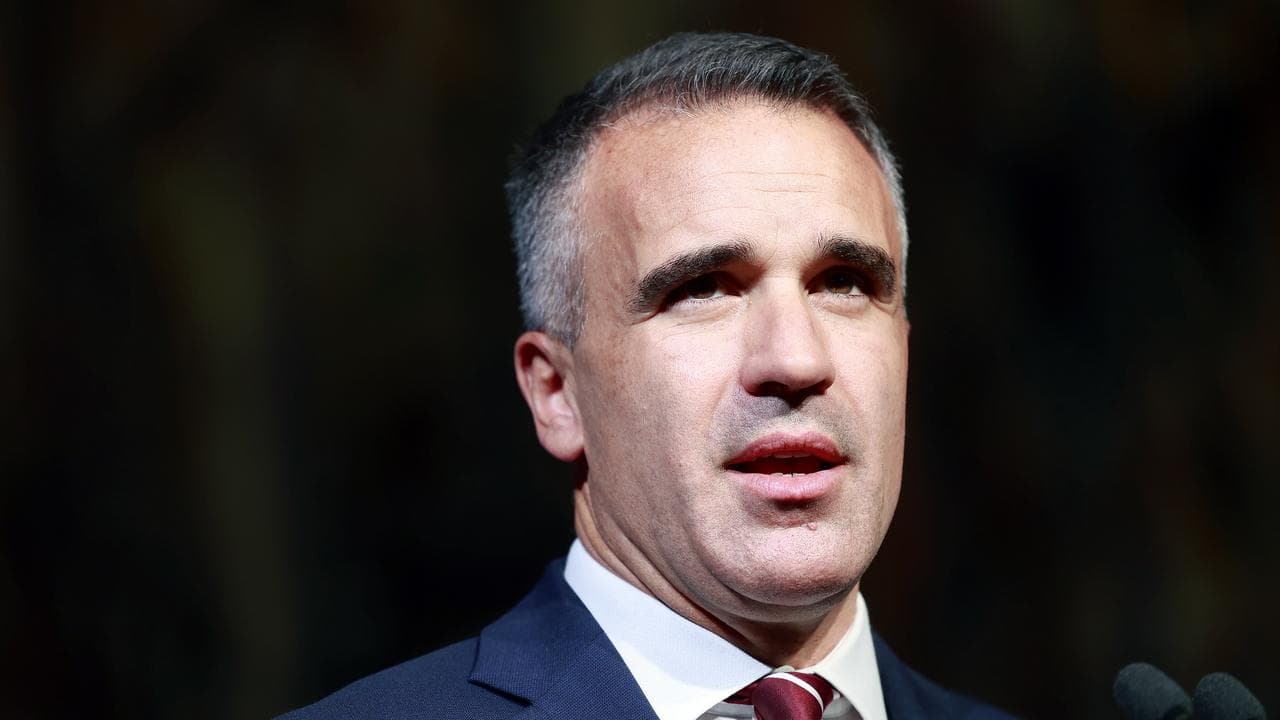 Premier Peter Malinauskas (file)