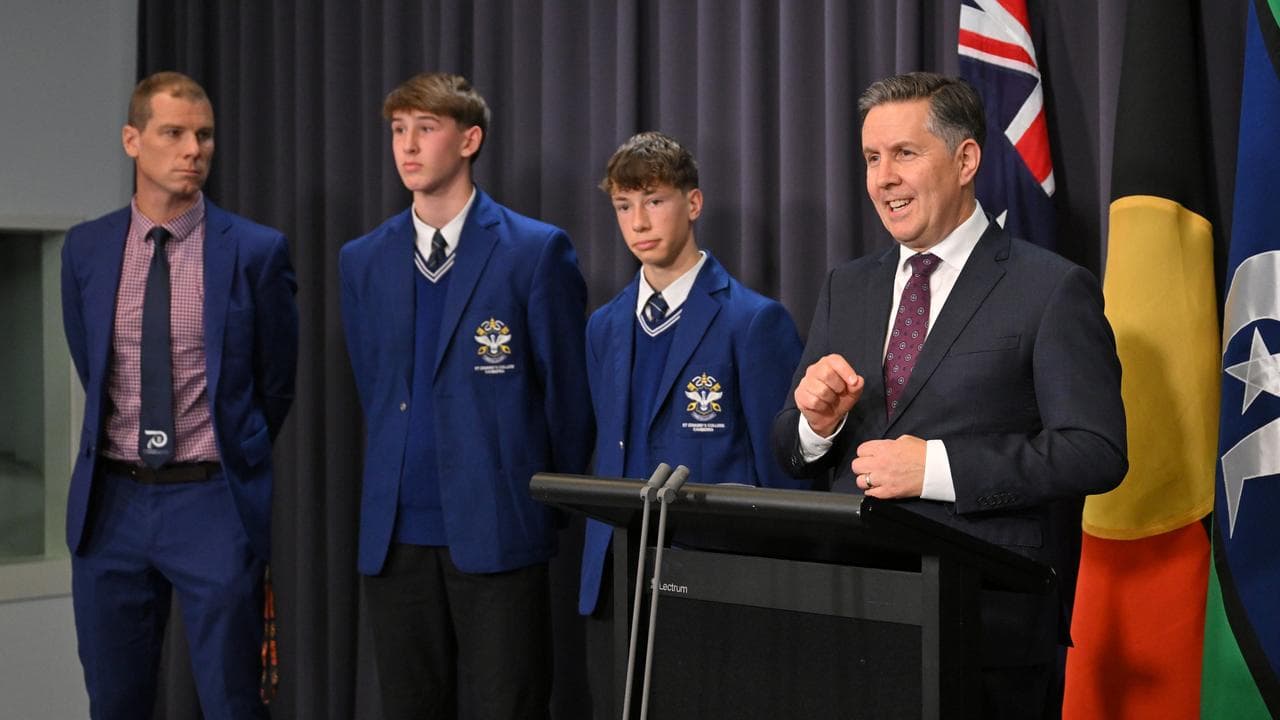 Health Minister Mark Butler