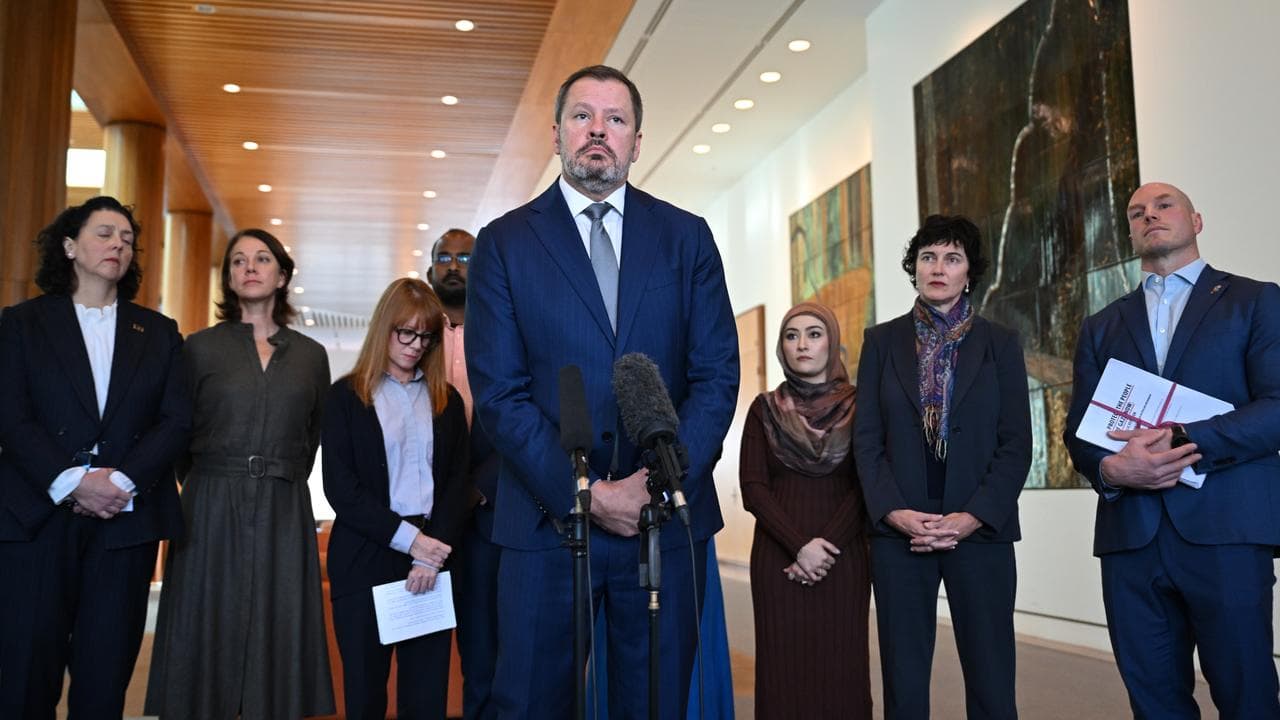 Labor's Ed Husic with MPs supporting Palestinian recognition