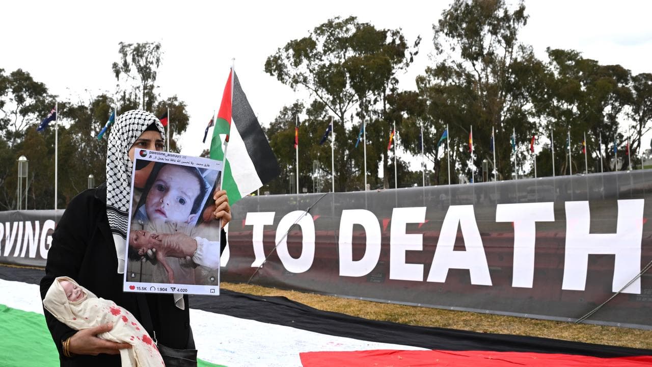 Pro-Palestinian rally