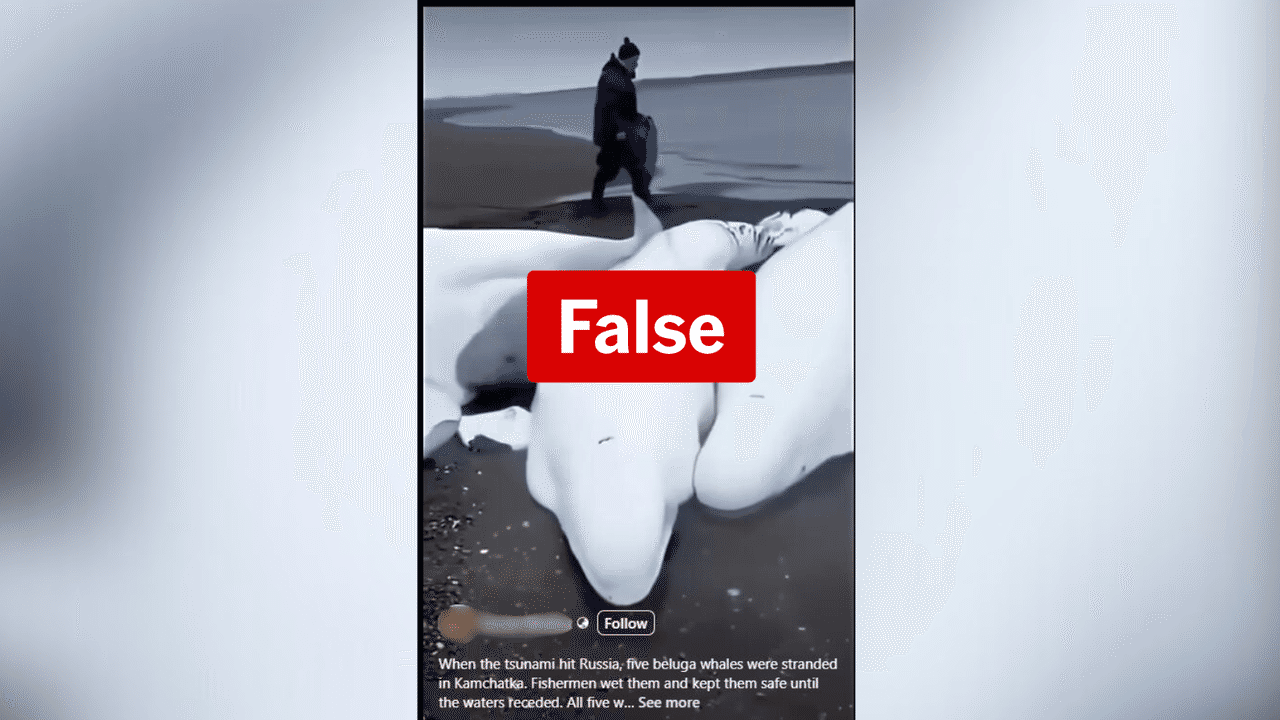 Screenshot of an Instagram post.