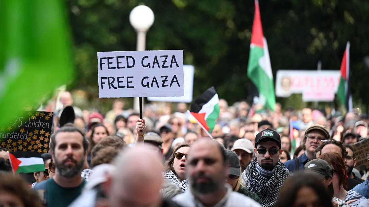 Pro-Palestine protest