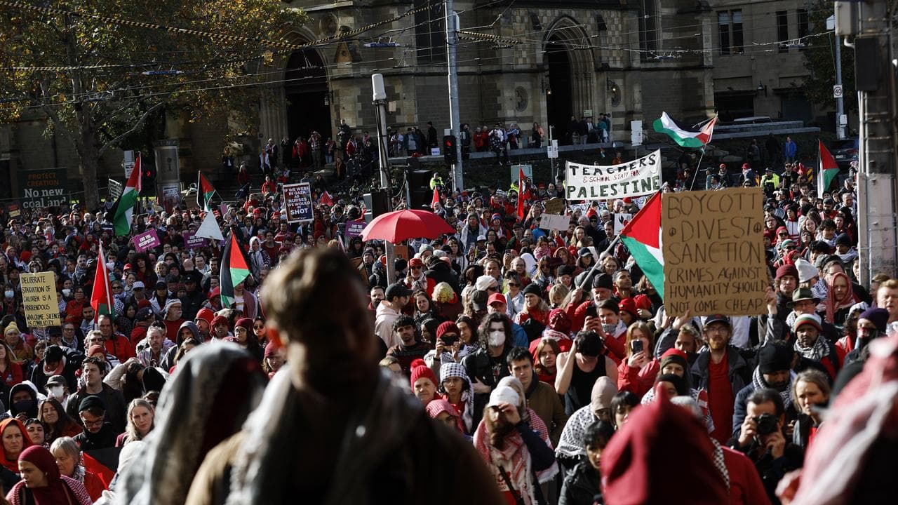 Pro-Palestine protest