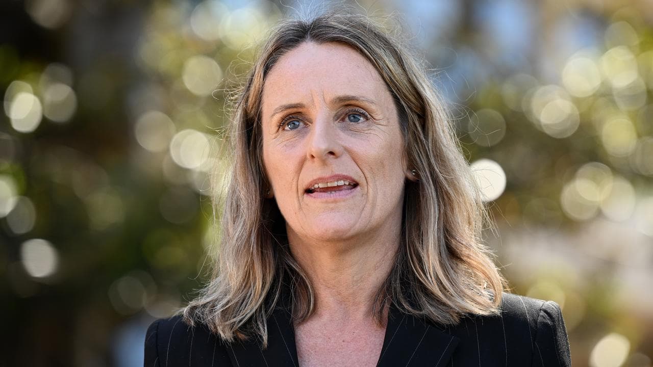 NSW Greens MP Sue Higginson speaks to media