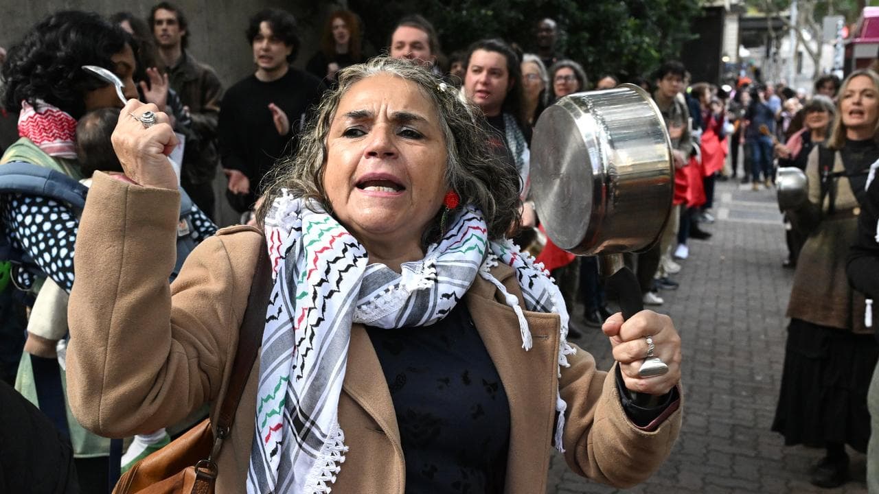 Pro-Palestine protesters