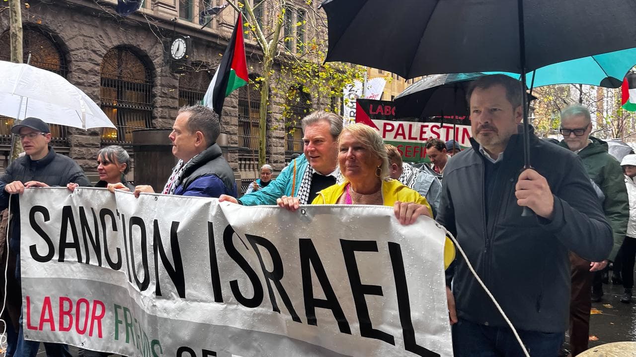 Federal MP Ed Husic at protest