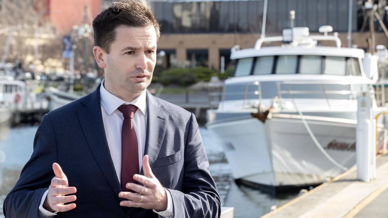 Tasmanian Labor leader Dean Winter (file image(