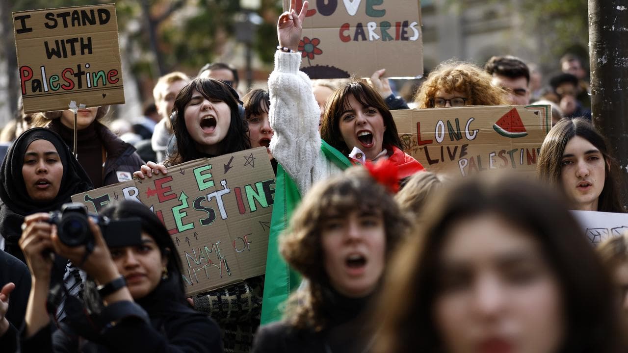 Pro-Palestine protesters