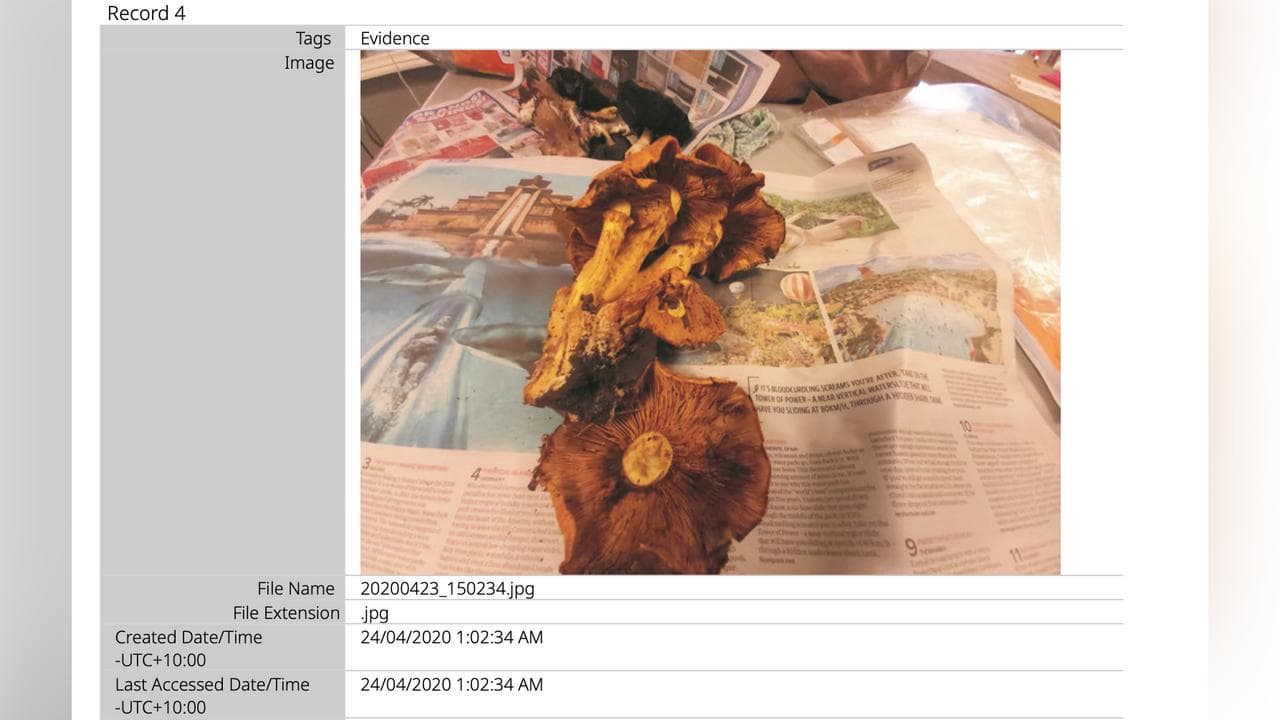 Mushroom foraging photos on Erin Patterson's devices (file)