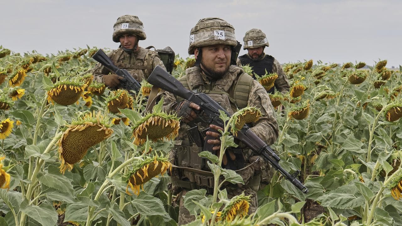 Ukrainian troops in a sunflower field in the Zaporizhzhia region