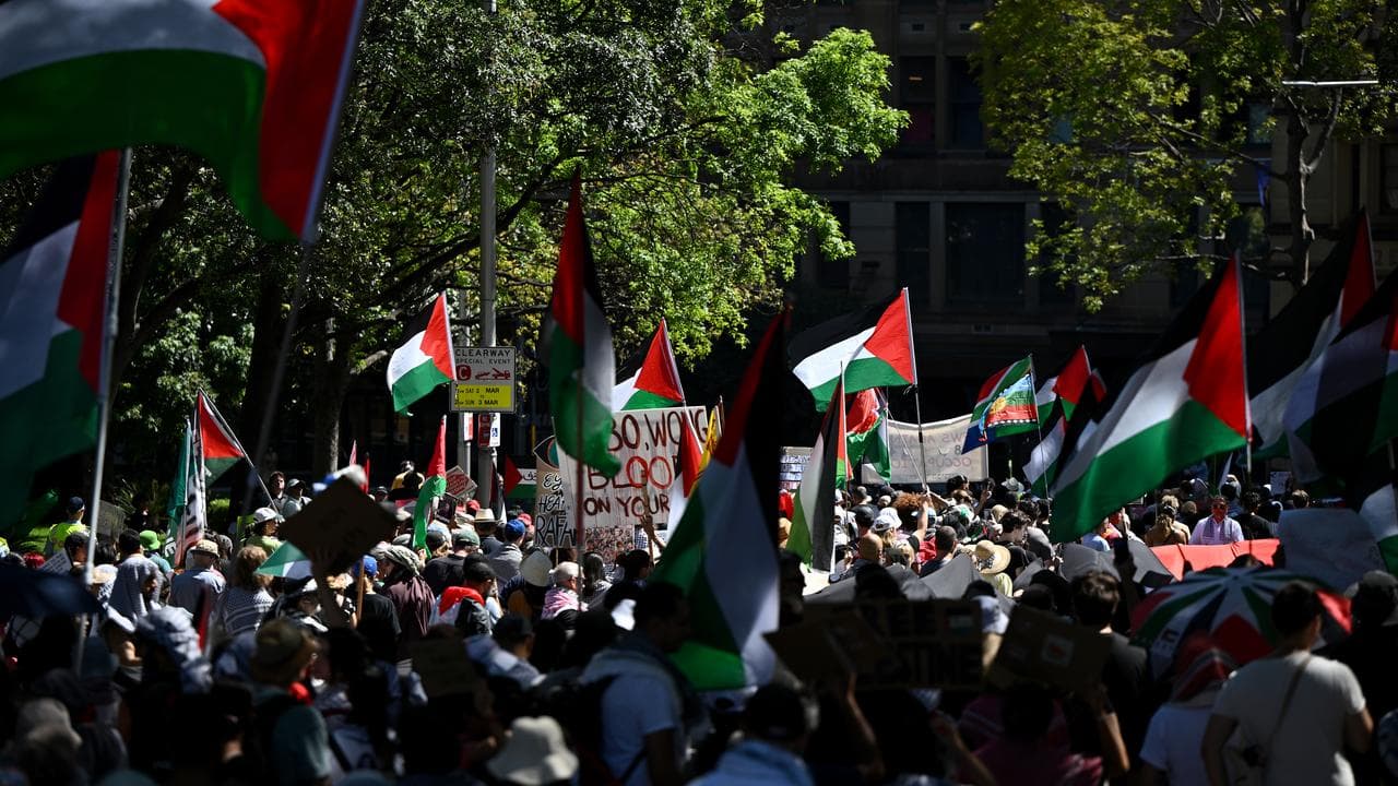 A file photo of pro-Palestine protesters 