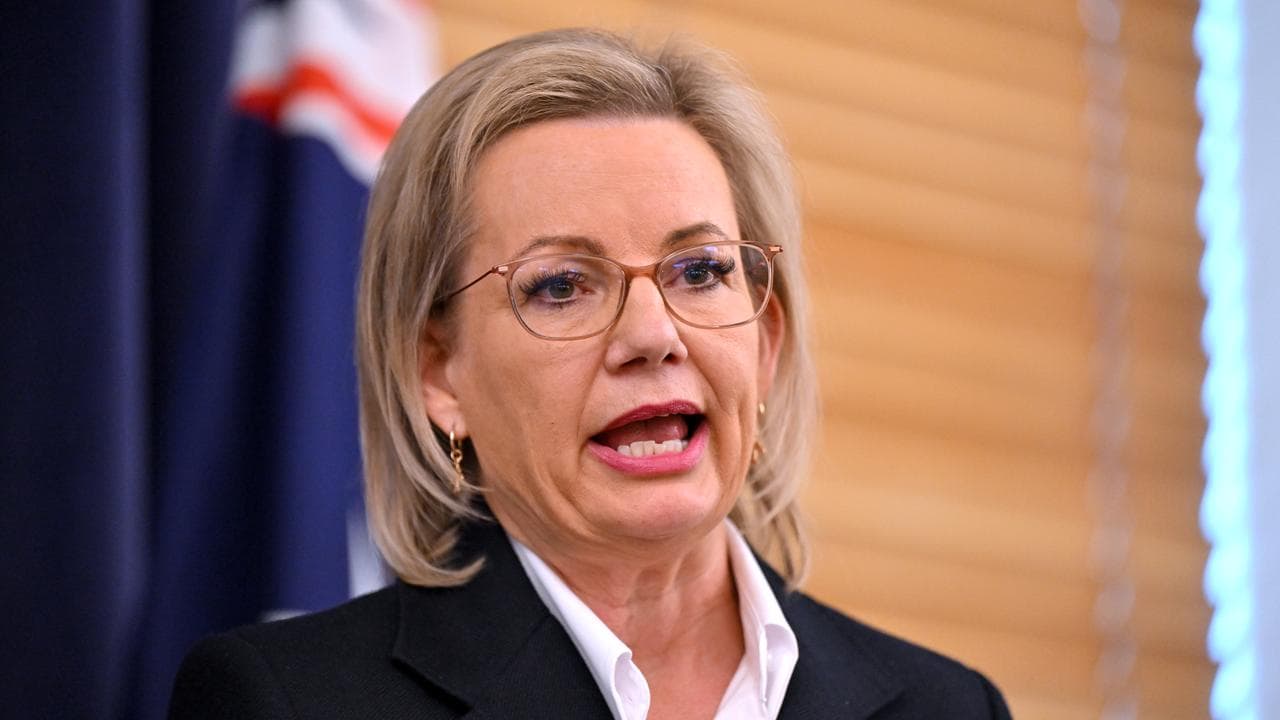 Opposition Leader Sussan Ley (file image)