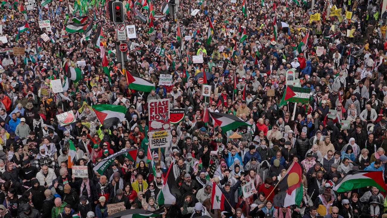 Pro-Palestine protesters on the Harbour Bridge