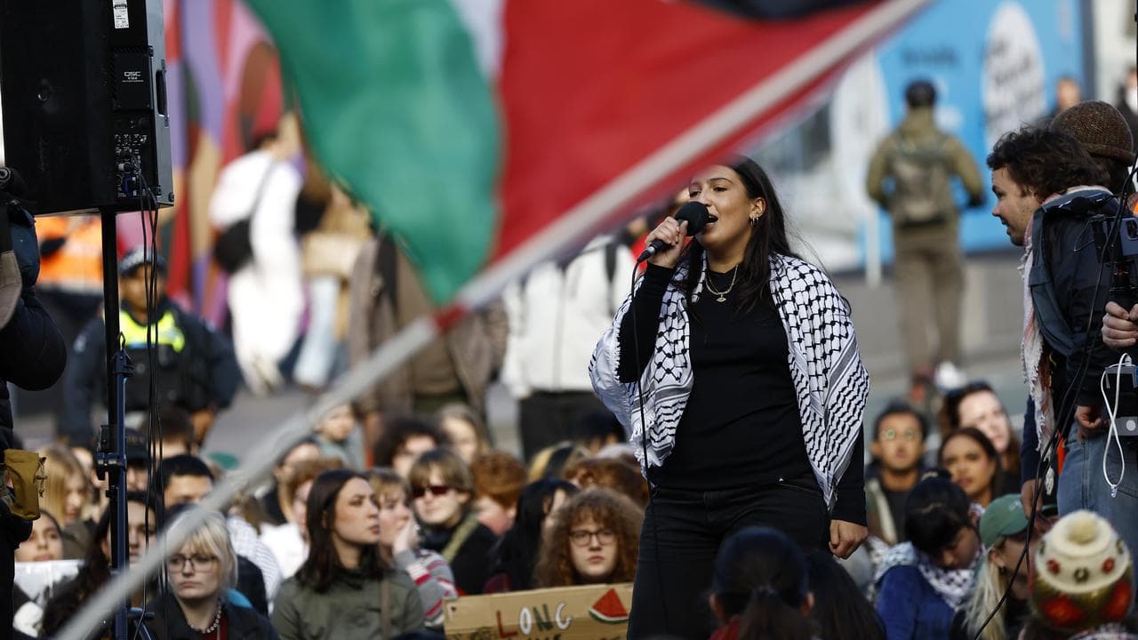Pro-Palestine students protest rally