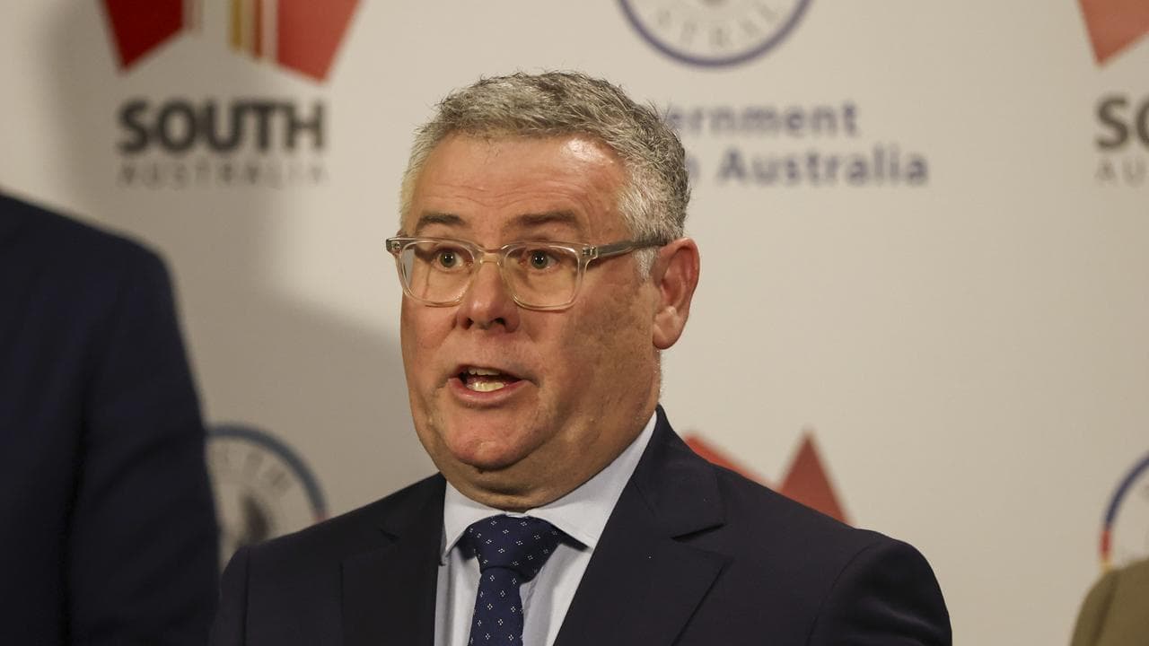 Federal Environment Minister Murray Watt (file)