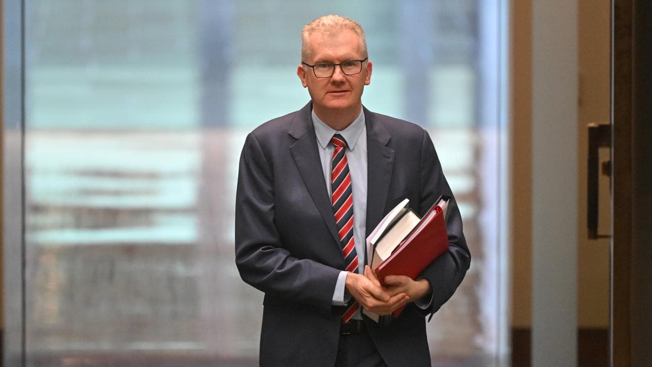 Minister for Home Affairs Tony Burke (file)