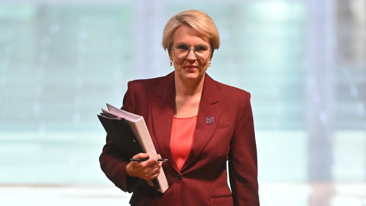 Tanya Plibersek 