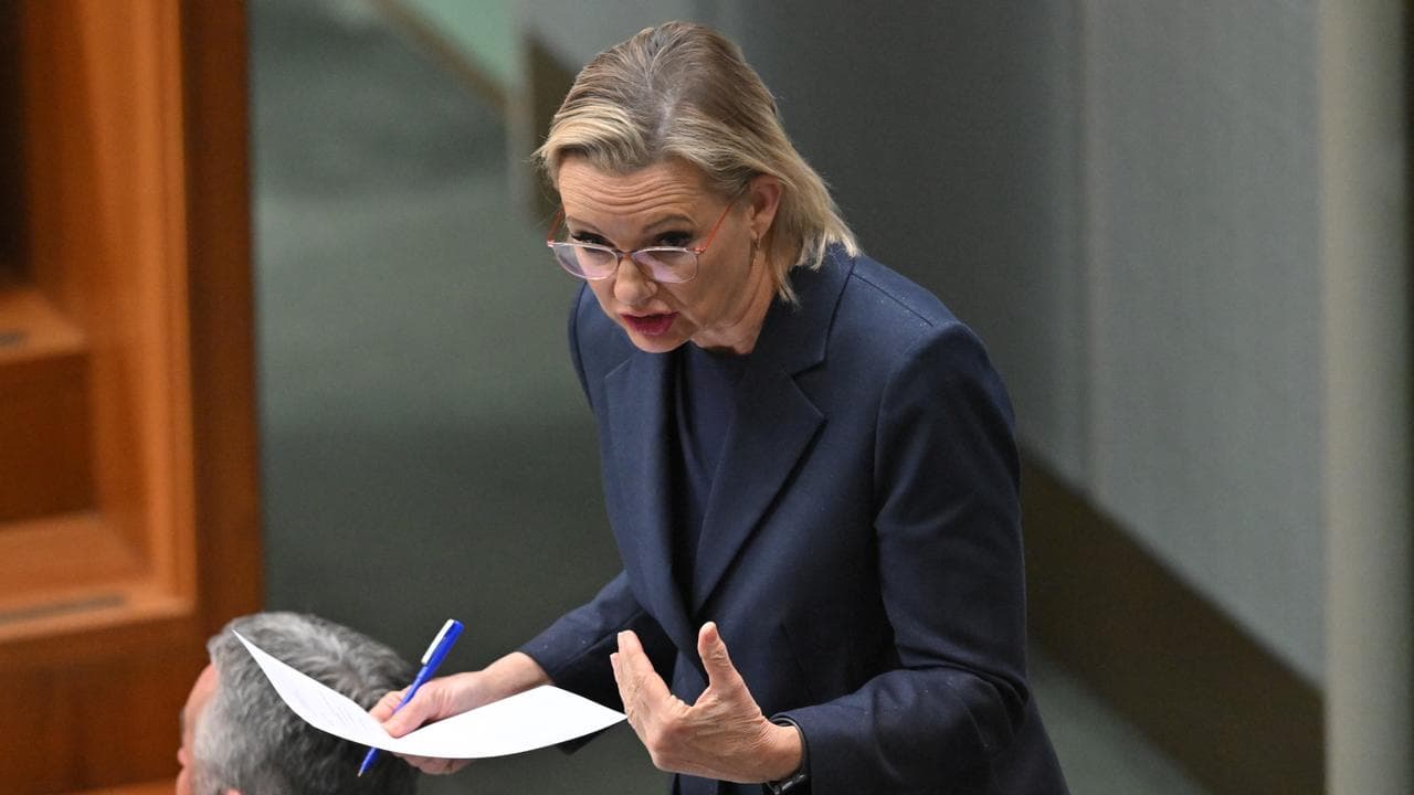 Opposition Leader Sussan Ley (file image)