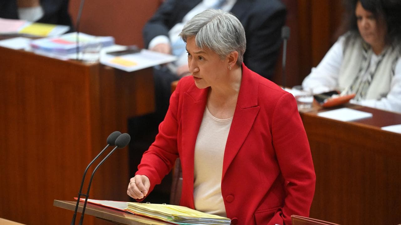 Foreign Affairs minister Penny Wong in the Senate