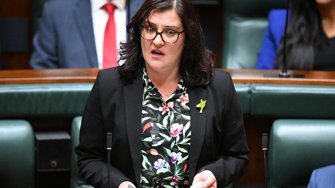 Daniela De Martino speaking in the Victorian parliament