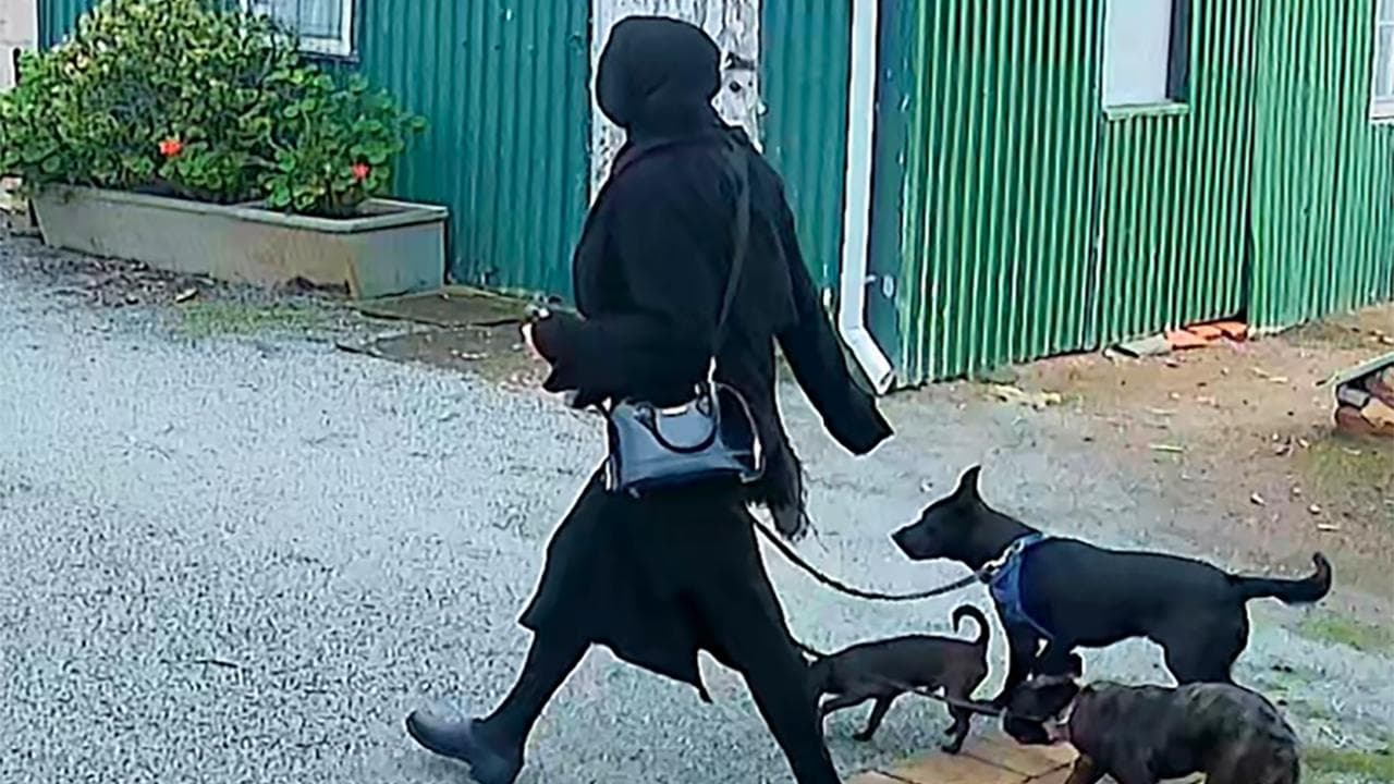 Tamika Chesser walking dogs