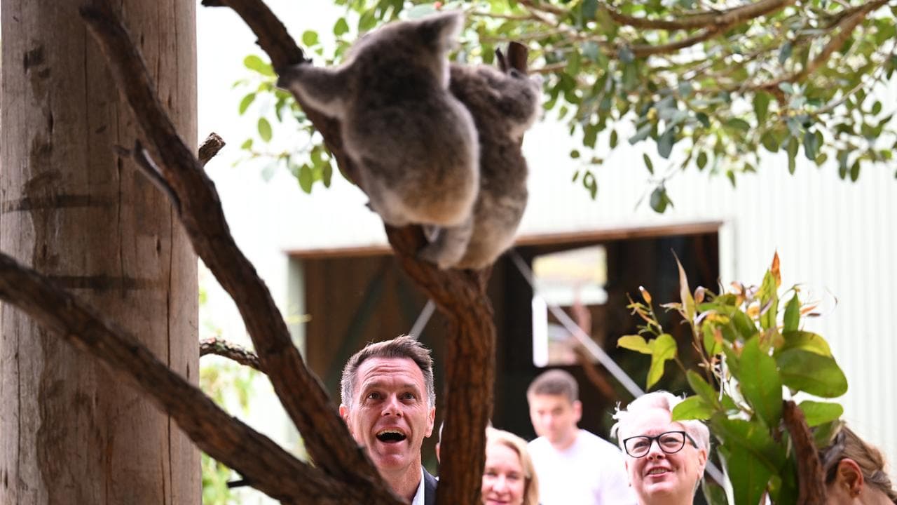 Chris Minns and Penny Sharpe at Symbio Wildlife Park, NSW