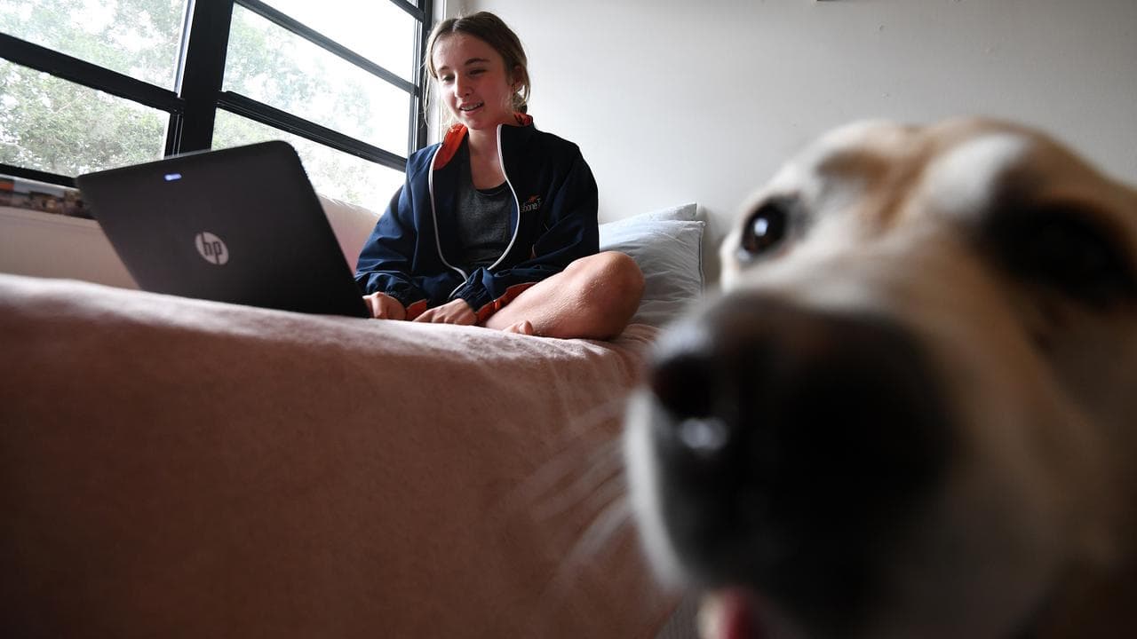 Completing homework on a laptop (file)