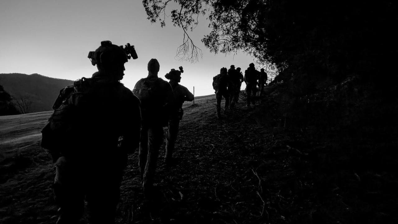 The search for Dezi Freeman