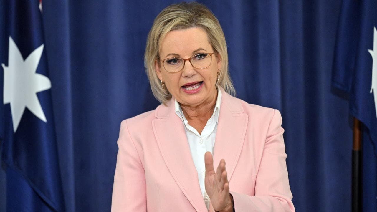 Opposition Leader Sussan Ley (file image)