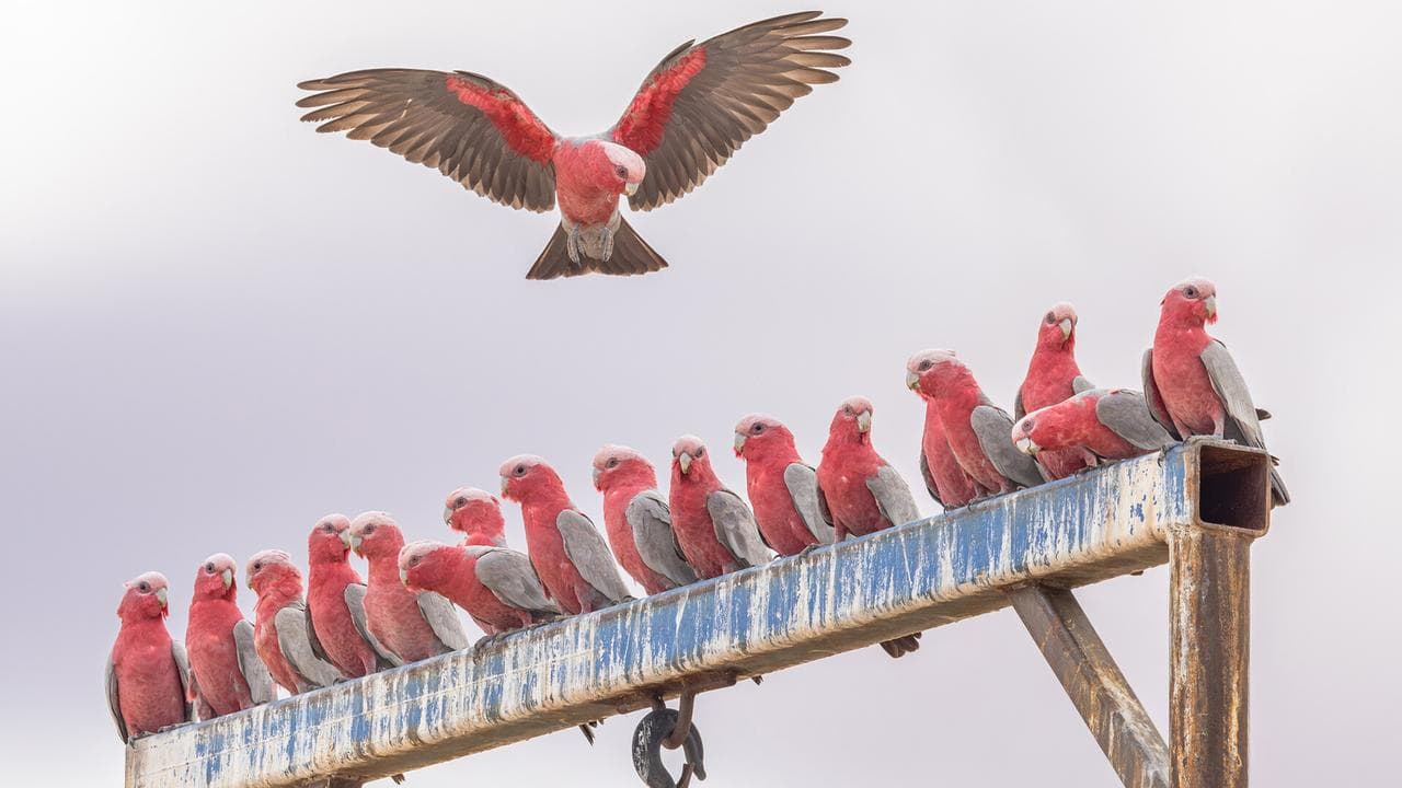 A photograph called Room For One More by Erika Smart