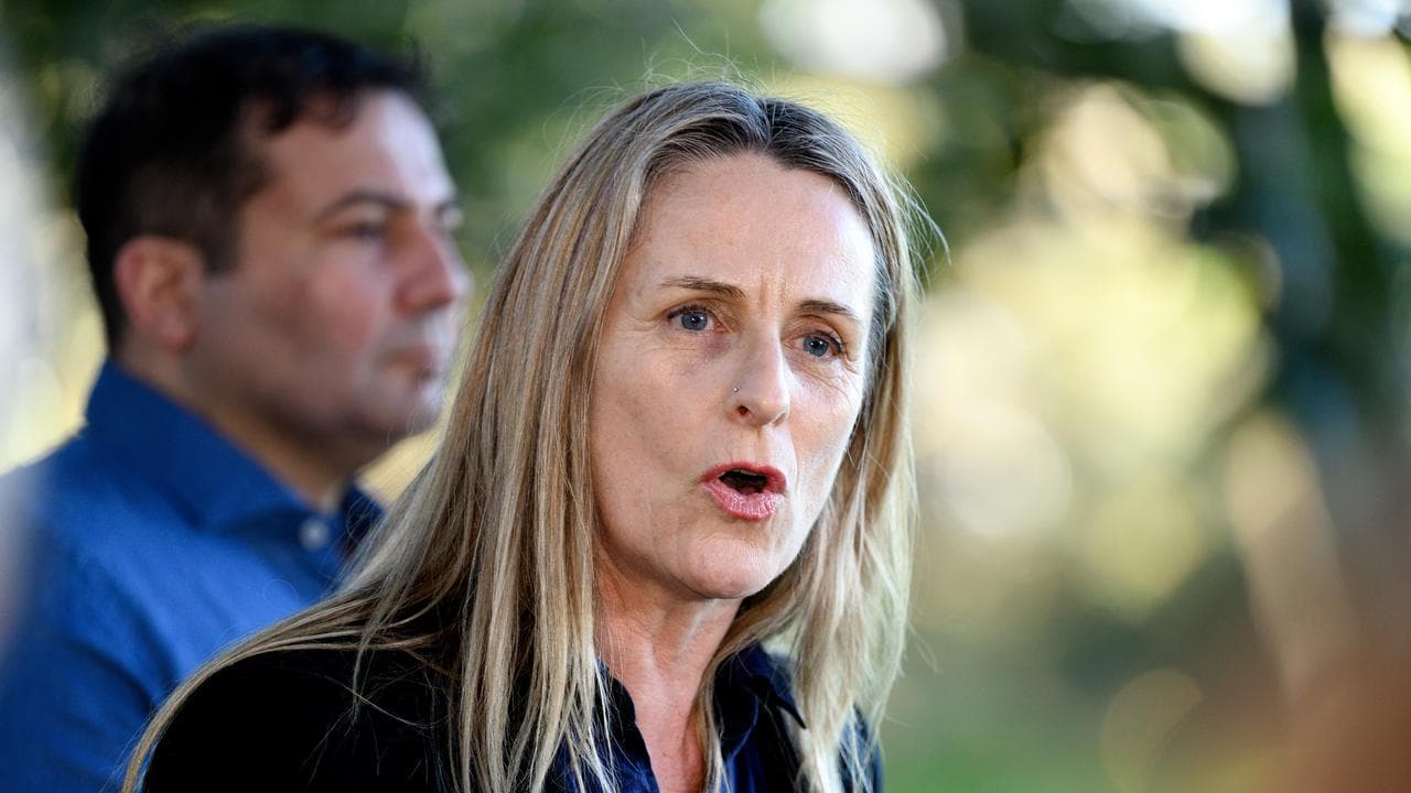 NSW Greens MP Sue Higginson (file image)