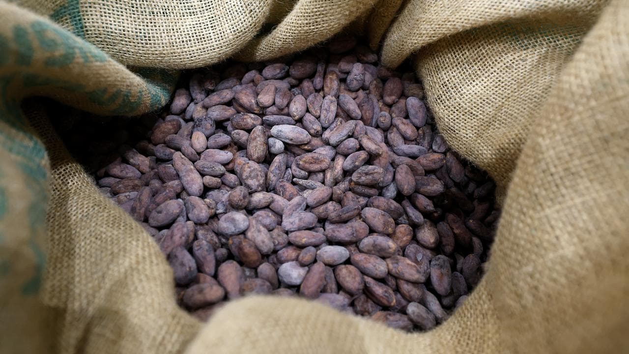 Christmas chocolates production