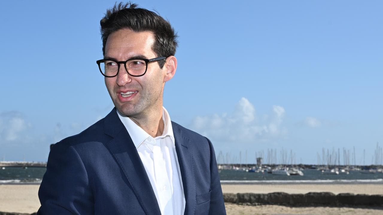 Labor MP Josh Burns (file image)