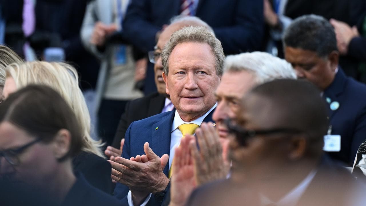 Australian businessman Andrew “Twiggy” Forrest