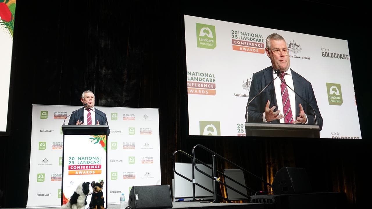 Environment Minister Murray Watt