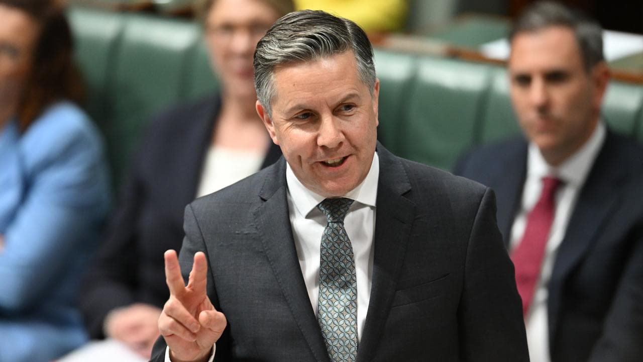 Health Minister Mark Butler (file image)
