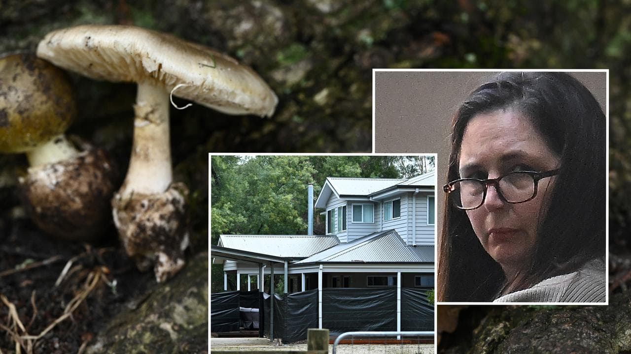 Death cap mushrooms, Erin Patterson and her home (file)