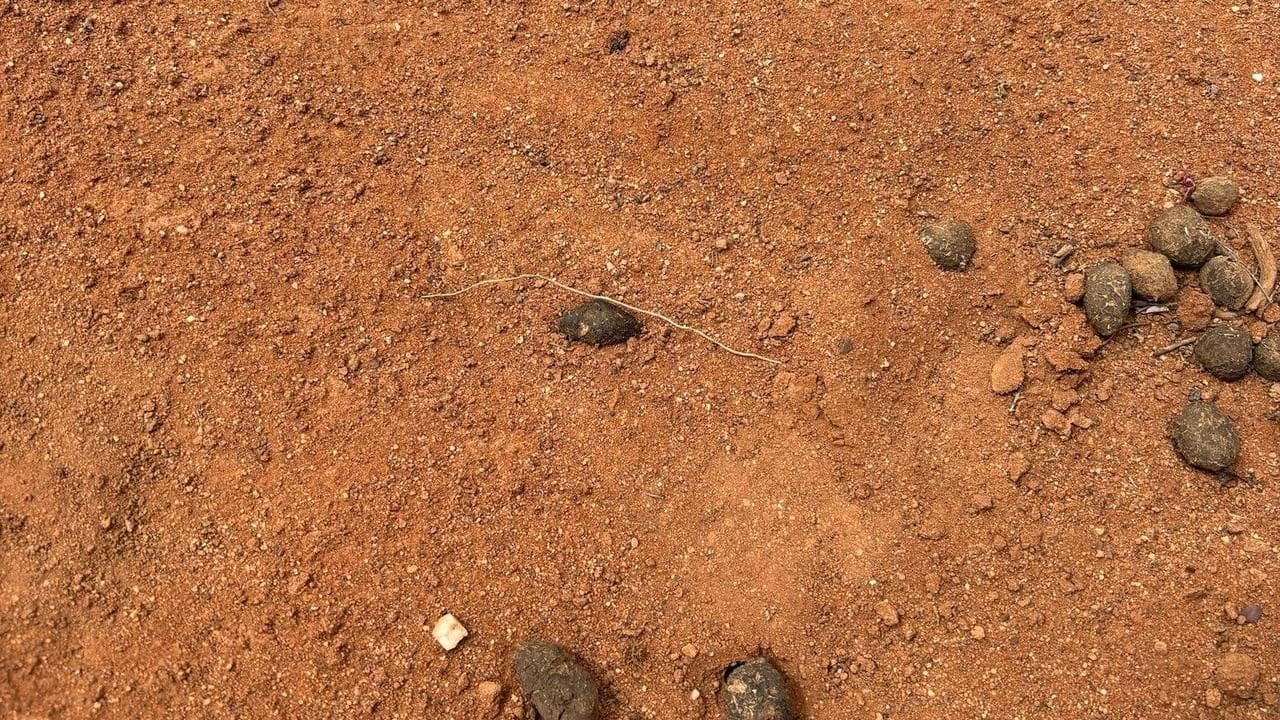 Footprint found in the search for missing boy Gus in Yunta, SA