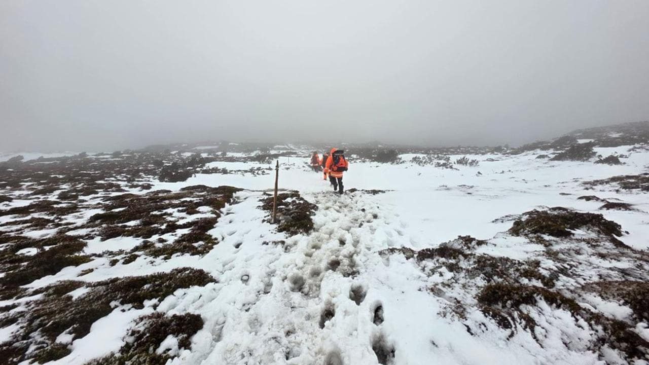 A file photo of searchers at Cradle Mountain 