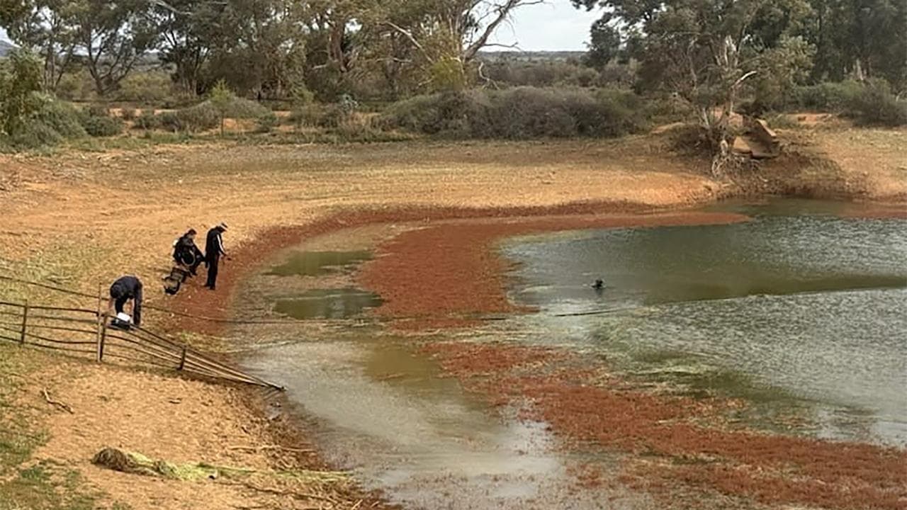 A dam on the property (file image)