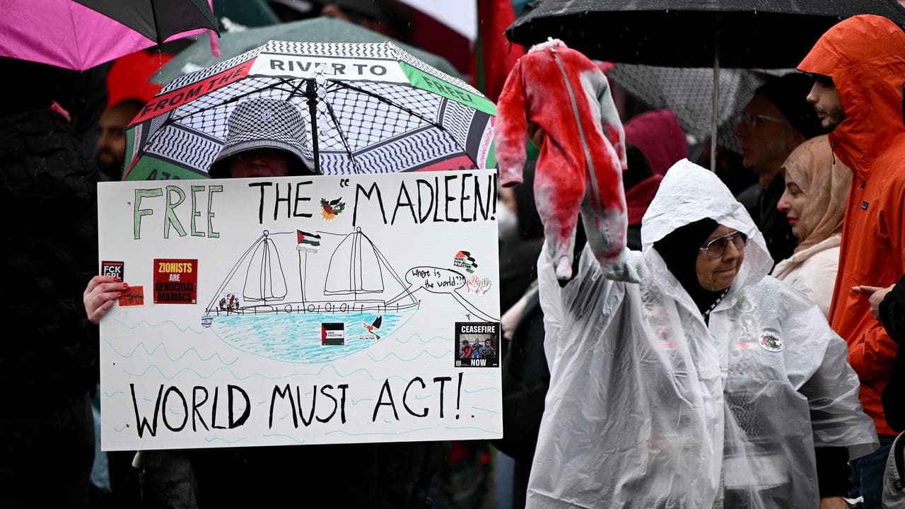 A photo of pro-Palestinian protesters. 